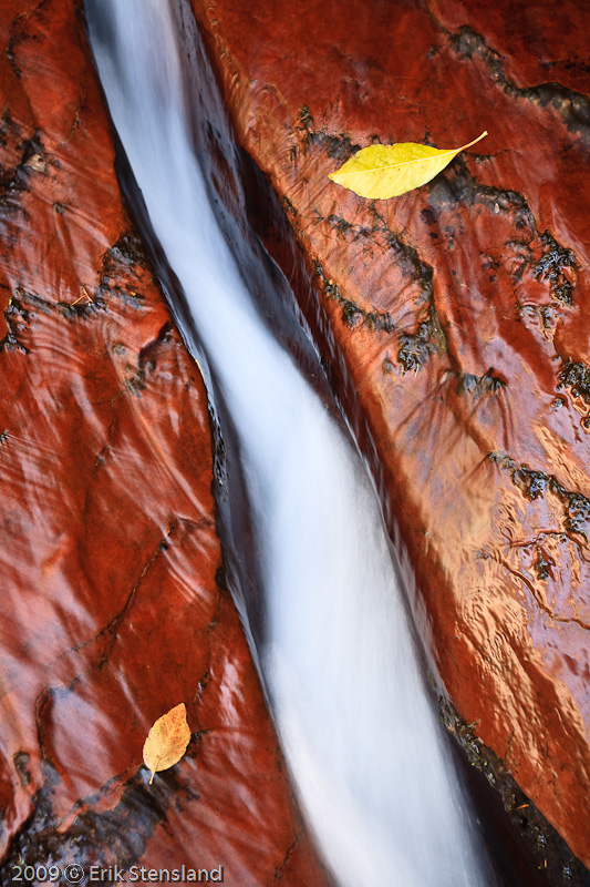 channel, leaves, zion photo